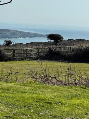 Bed and Breakfast The Little Garden Hideaway With Stunning Sea Views And Garden Holyhead Exterior foto
